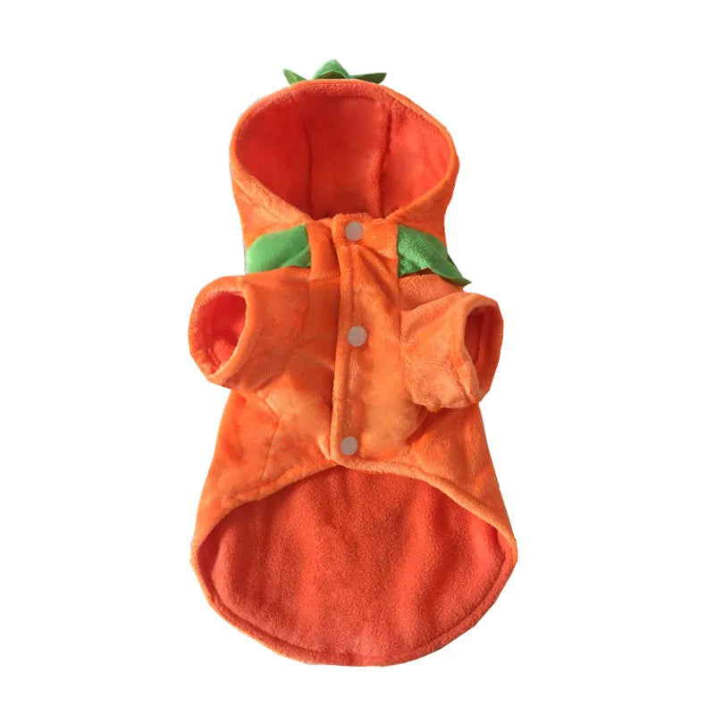 Halloween Dog Pumpkin