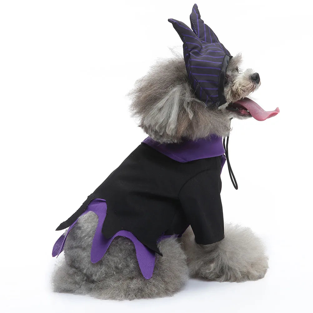 Halloween Dog Witch Costume