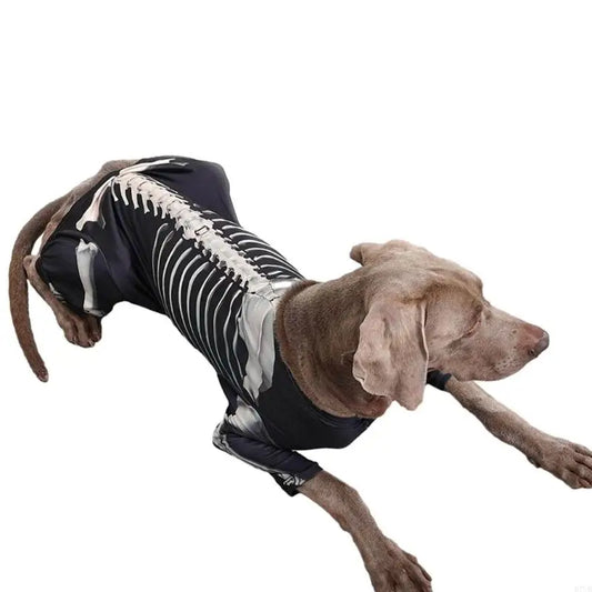 Halloween Skeleton Dog Costume