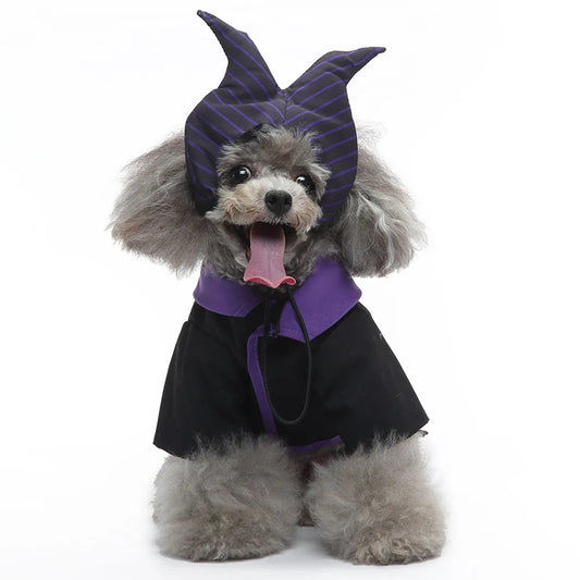 Halloween Dog Witch Costume