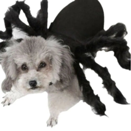 Halloween Spider Dog Costume