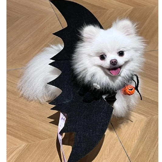 Halloween Dog Bat Wings