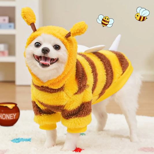 Halloween Dog Bee Costume